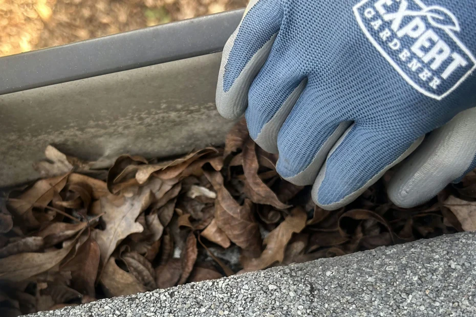 Gutter Cleaning Brannon Woods