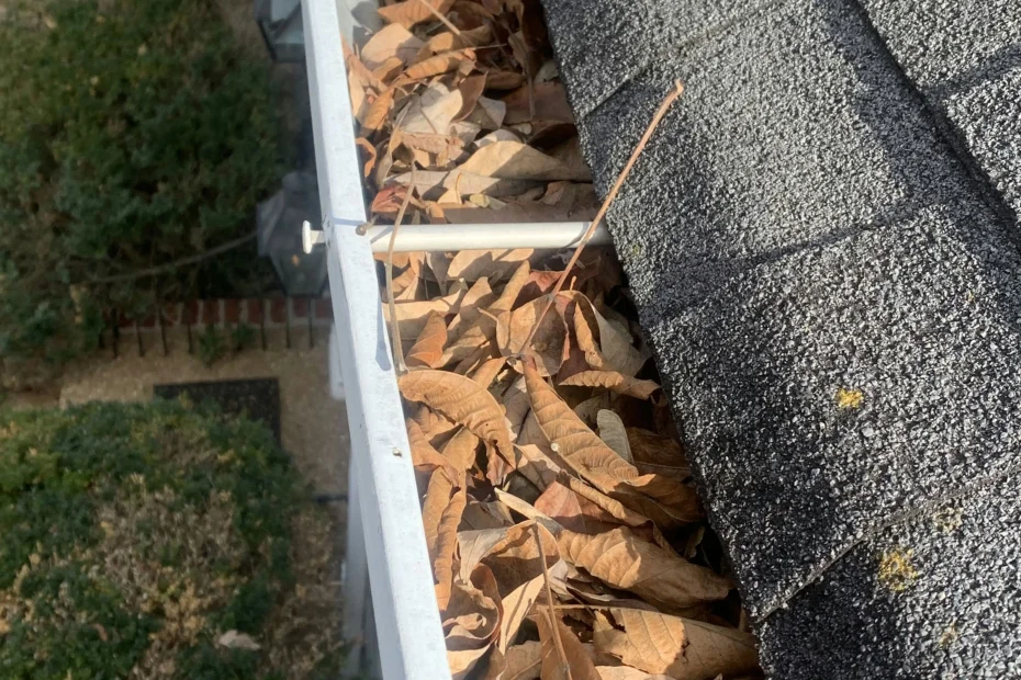 Gutter Cleaning Brannon Woods