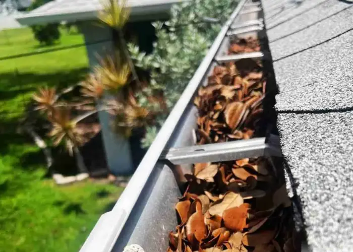 Gutter Cleaning Brannon Woods home page